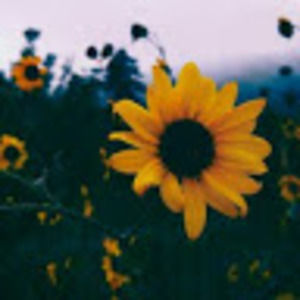 Meet your Posher, Destiny